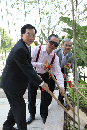 譚校董、崔校長及校園發展項目經理盧建權先生一同植竹