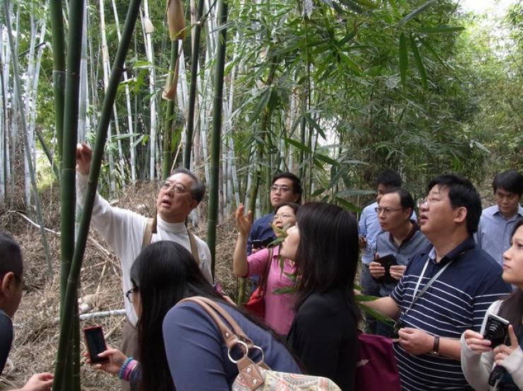 Delegation visit Guangzhou Fuyun Bamboo Nursery
