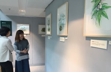 城市森林中的花與牠 ─ 葉曉文作品展