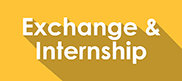 exchange and internship