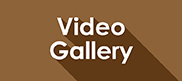 video gallery