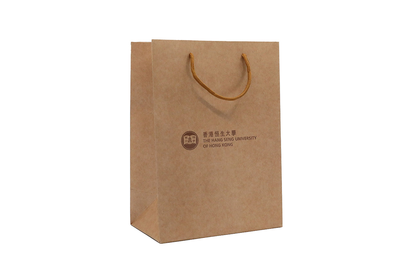 Paper bag_1