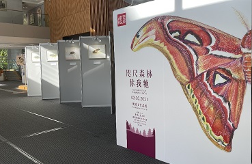 咫尺森林你我牠 — 葉曉文作品展