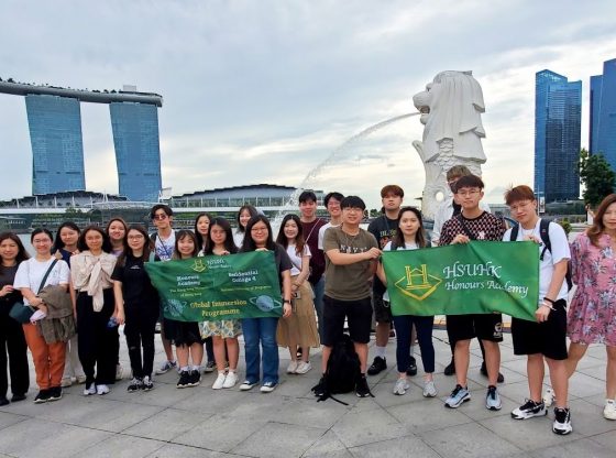 If you haven't visited this landmark “Merlion Park”, you can’t say you’ve been to Singapore!